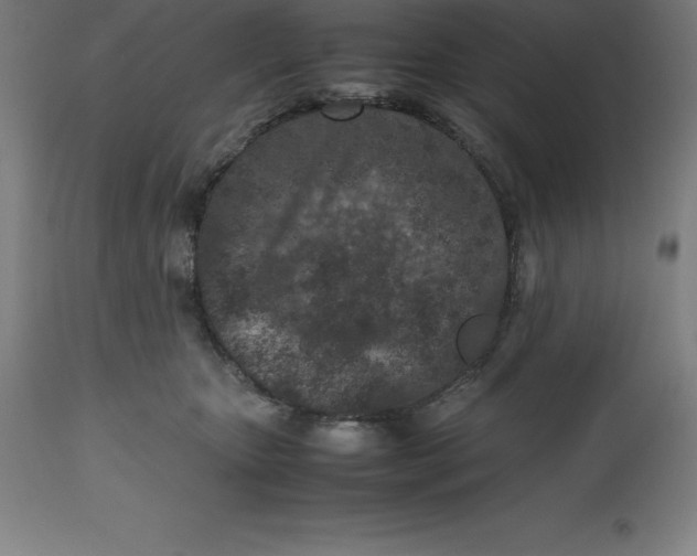 X0000112510467200909071313