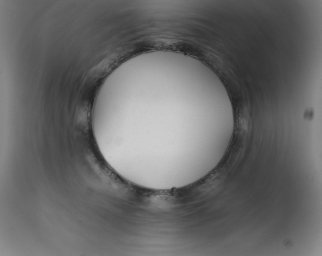 X0000112510468200909071313