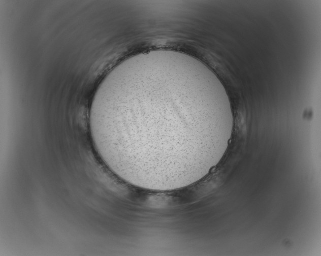 X0000112510470200909071313