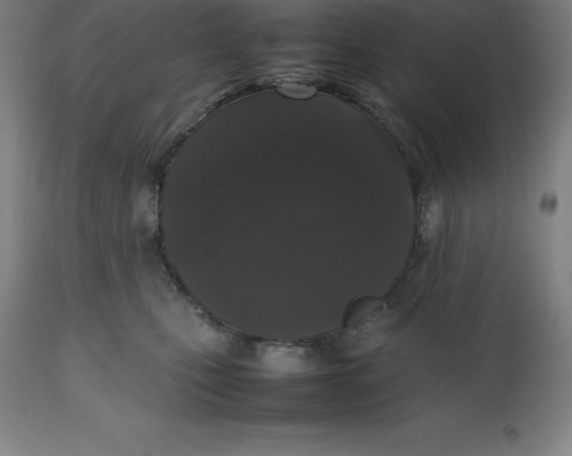 X0000112510471200909071313