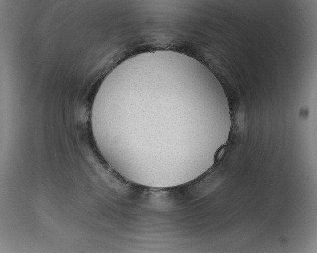 X0000112510472200909071313