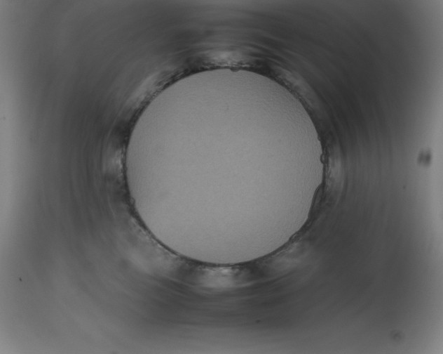 X0000112510473200909071313