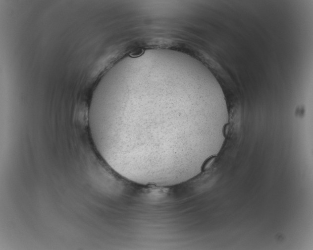 X0000112510474200909071313