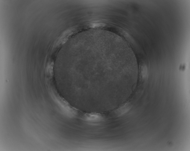 X0000112510475200909071313