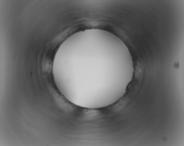 X0000112510476200909071313