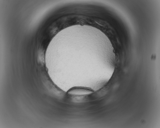 X0000112510479200909071313