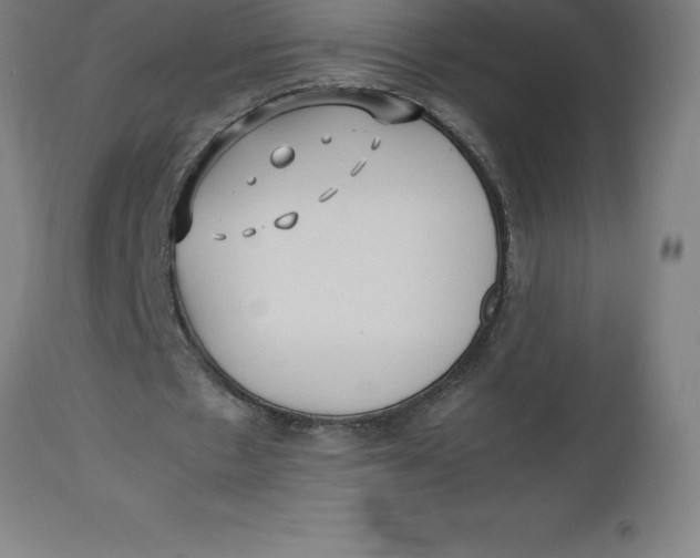 X0000112510481200909071312