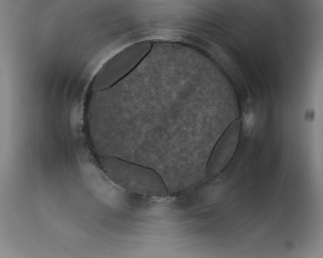 X0000112510484200909071312