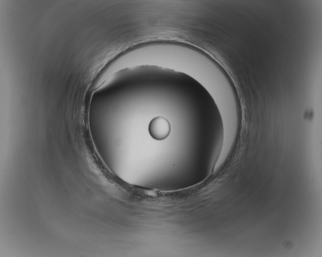 X0000112510485200909071312