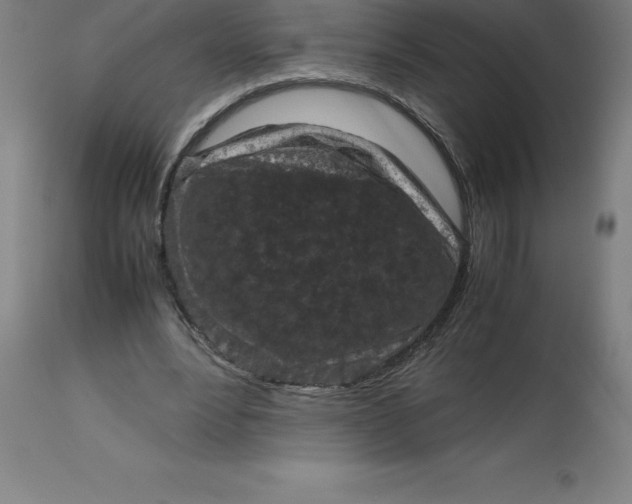 X0000112510488200909071312