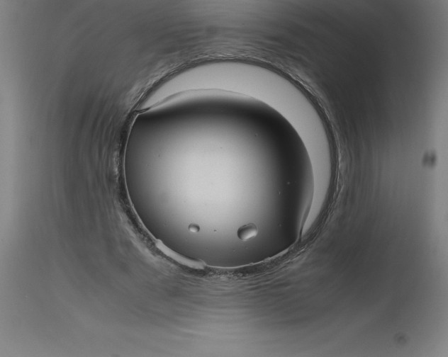 X0000112510489200909071312