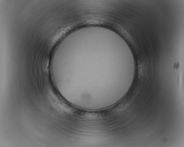 X0000112510490200909071312