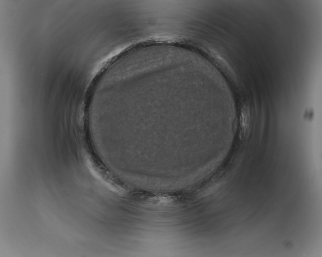 X0000112510492200909071312