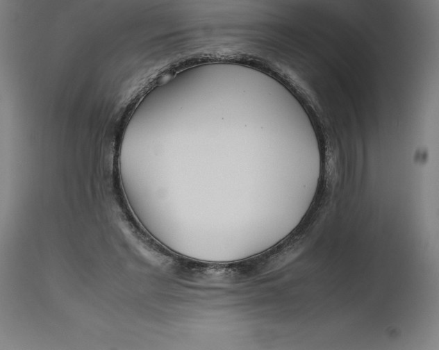 X0000112510493200909071312