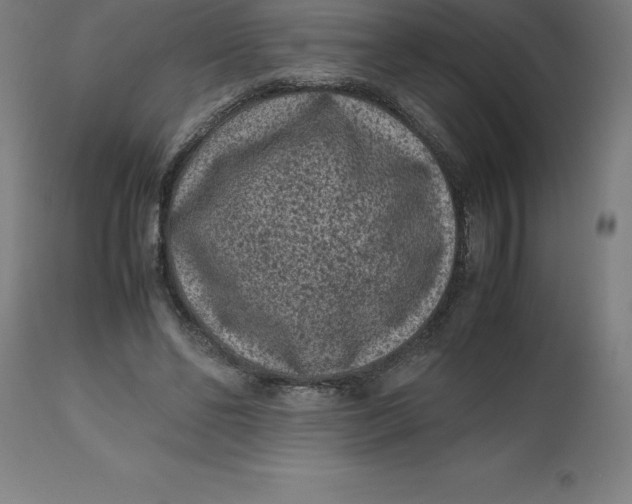 X0000112510494200909071312