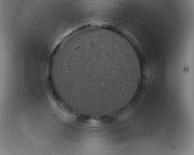 X0000112510496200909071312