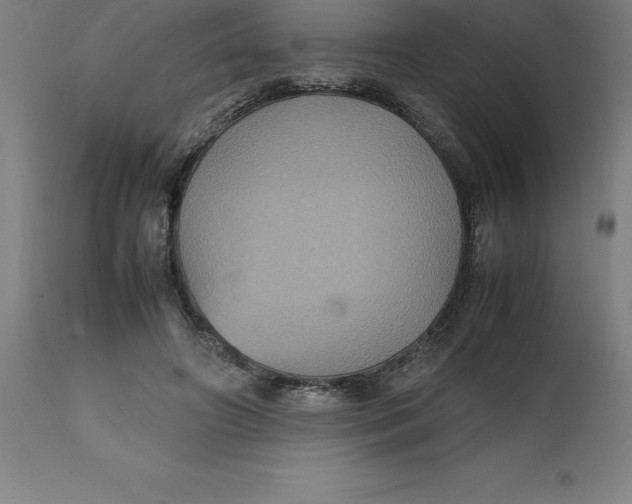 X0000112510498200909071312