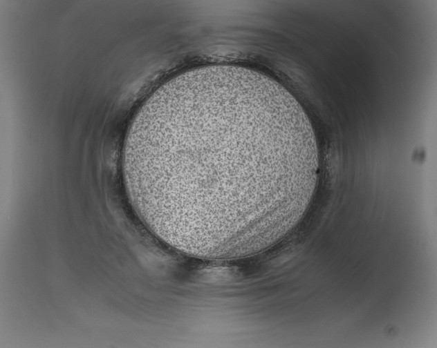 X0000112510499200909071312