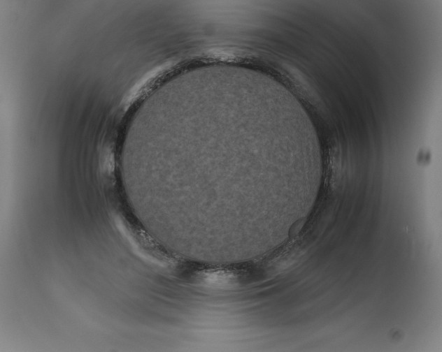 X0000112510500200909071312