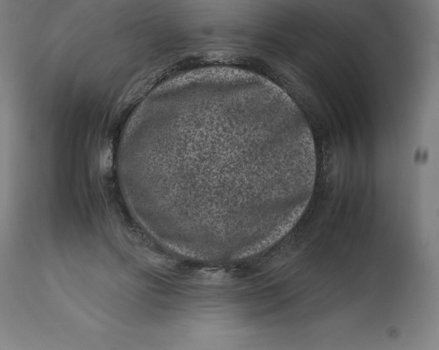 X0000112510502200909071312