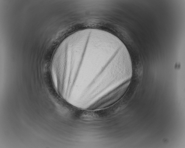 X0000112510503200909071312