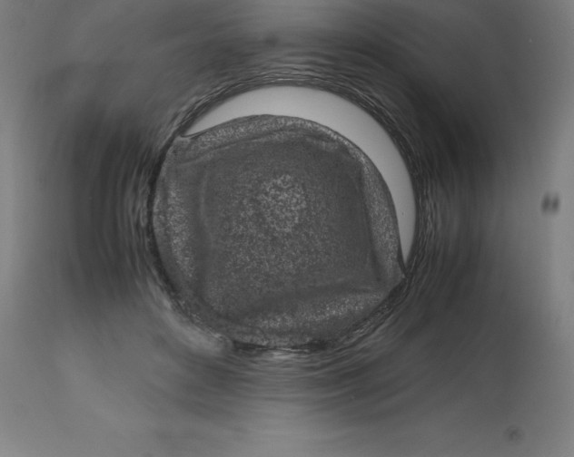 X0000112510504200909071312