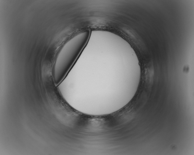 X0000112510508200909071312