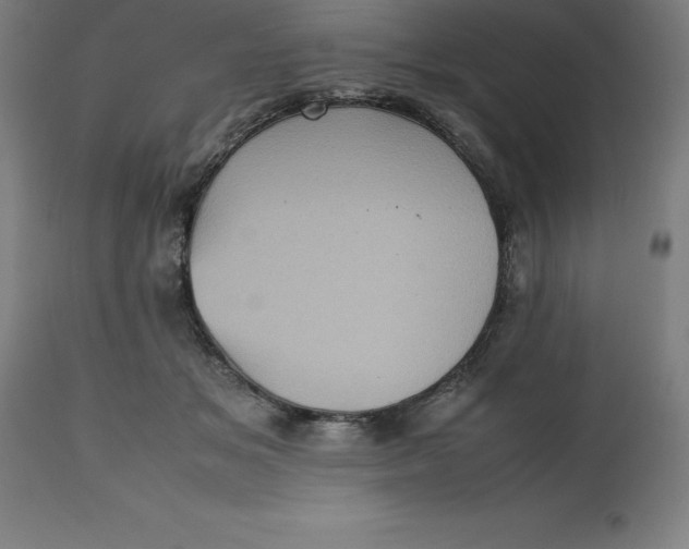 X0000112510509200909071312