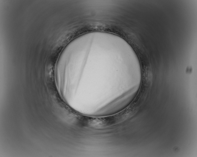 X0000112510511200909071312