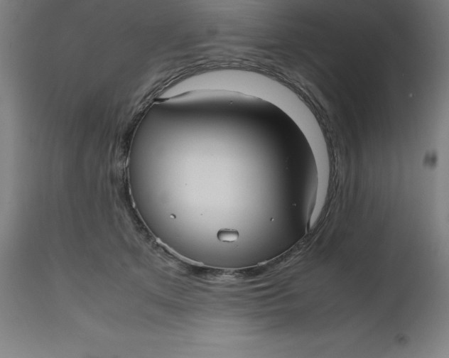 X0000112510513200909071312