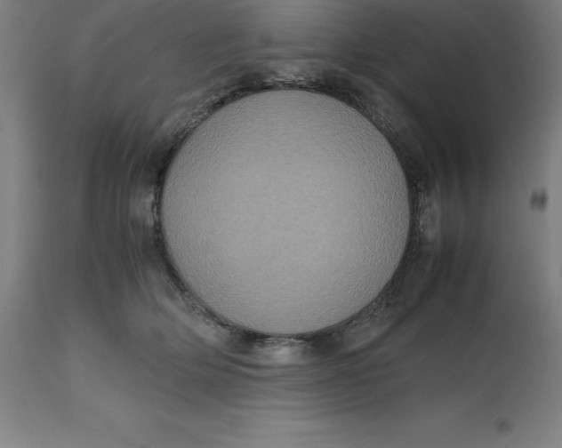 X0000112510514200909071312