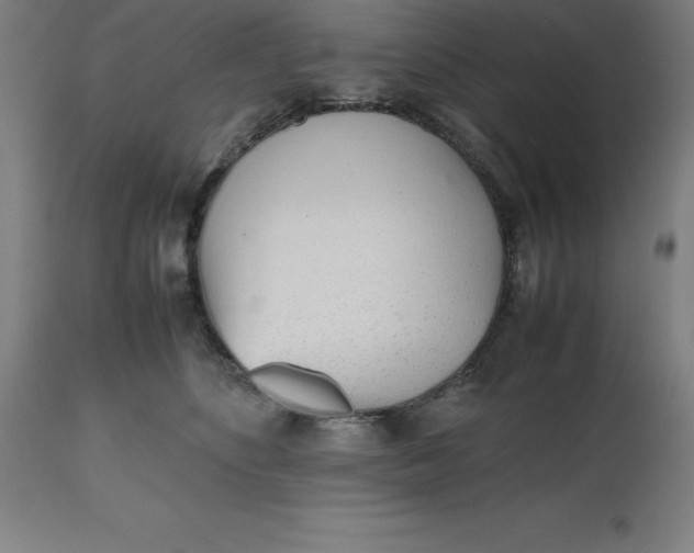 X0000112510516200909071312