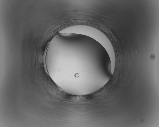 X0000112510517200909071312