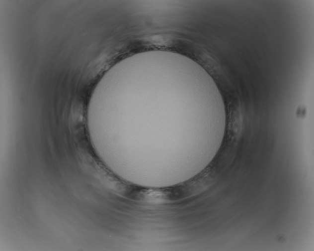 X0000112510518200909071312