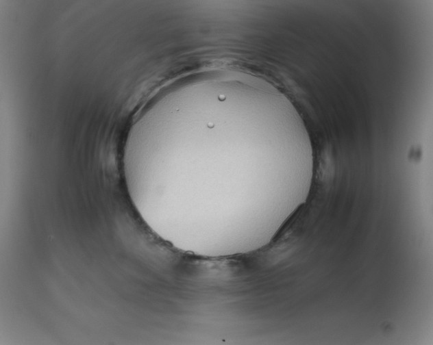 X0000112510524200909071312