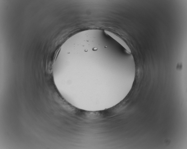 X0000112510525200909071312