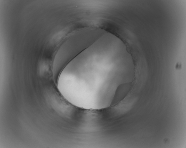 X0000112510528200909071311