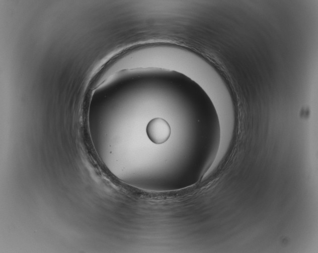 X0000112510532200909071311