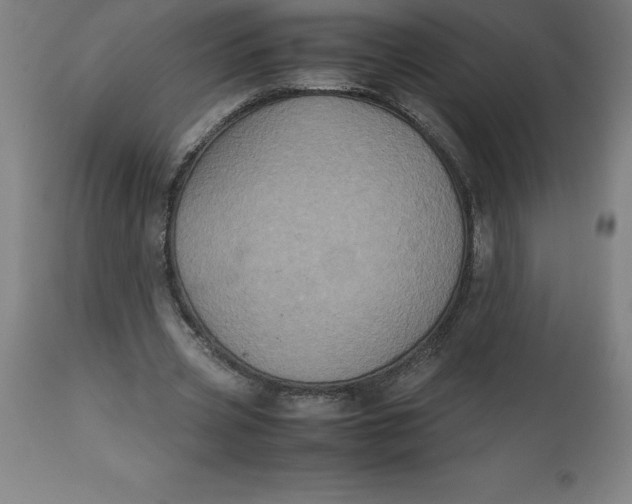 X0000112510533200909071311