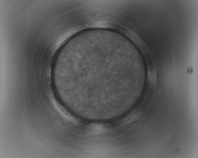 X0000112510534200909071311