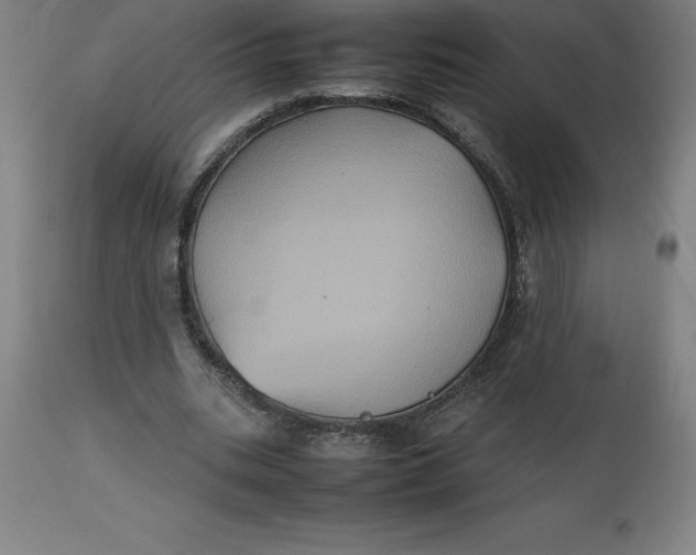 X0000112510535200909071311