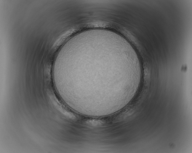 X0000112510537200909071311