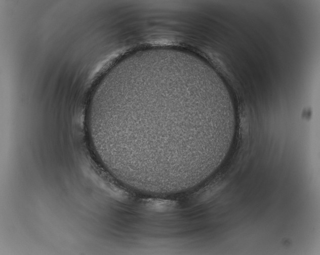 X0000112510539200909071311