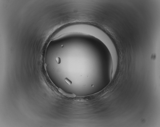 X0000112510540200909071311