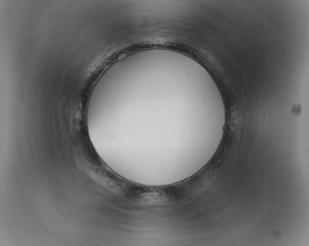 X0000112510544200909071311