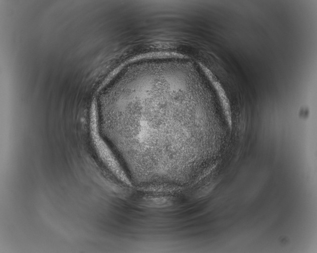 X0000112510553200909071311