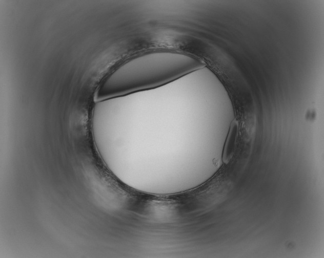 X0000112510556200909071311