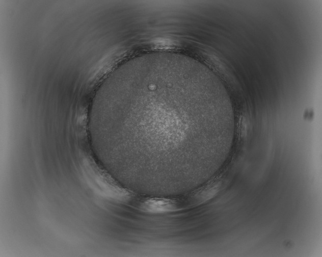 X0000112510557200909071311