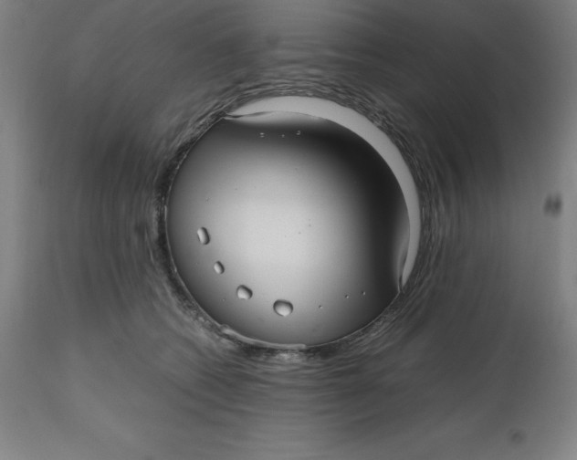 X0000112510562200909071311