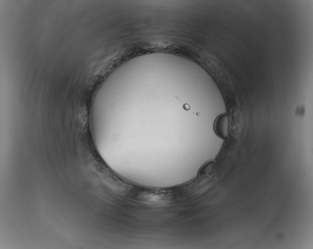 X0000112510563200909071311